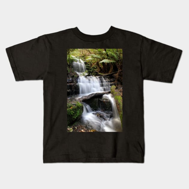 Myrtle Falls, Mt Wellington, Tasmania Kids T-Shirt by Kirkcov